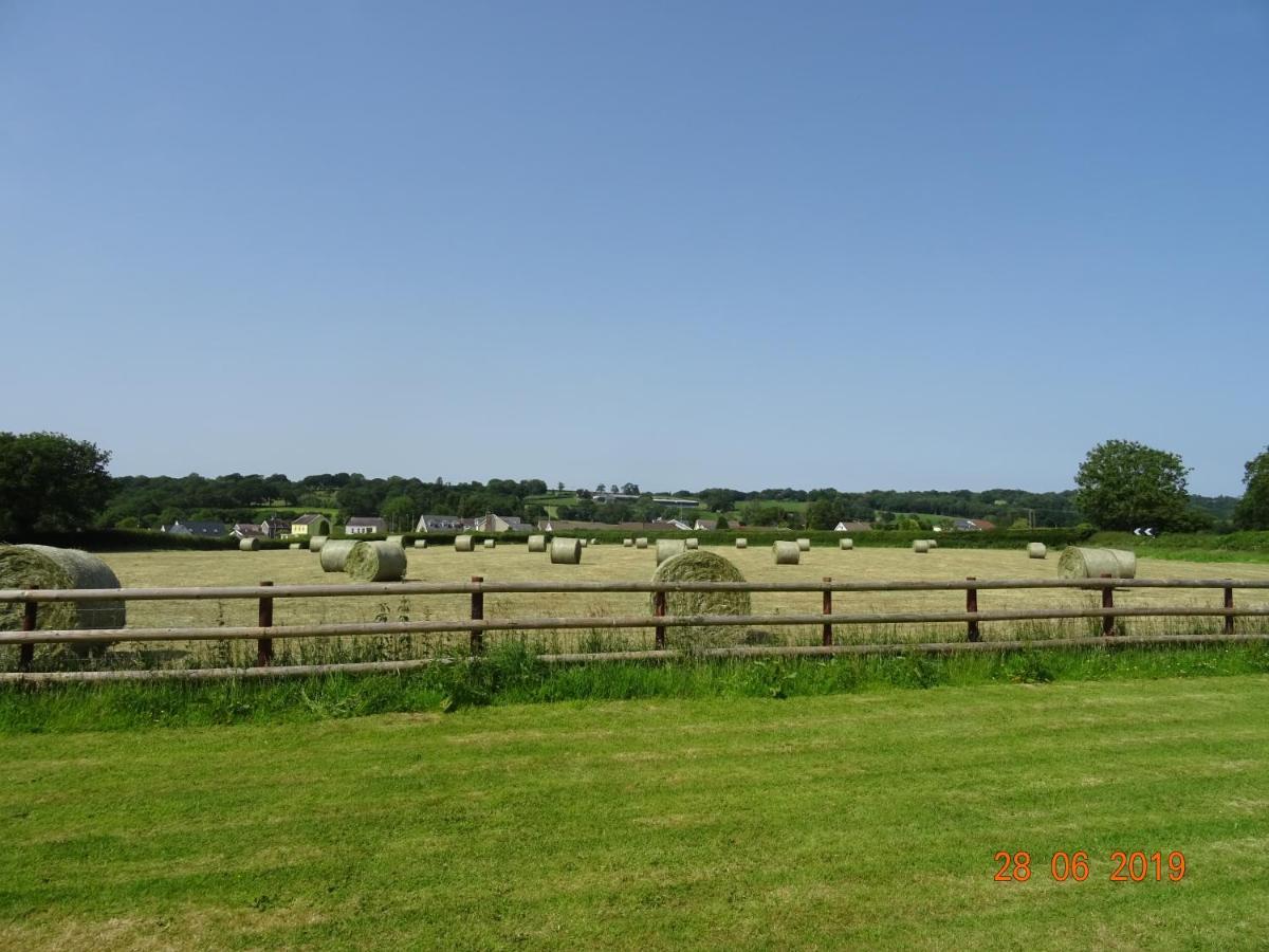 Red Kite Barn Villa Ammanford Kültér fotó